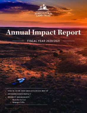 2020-2021 Impact Report Cover