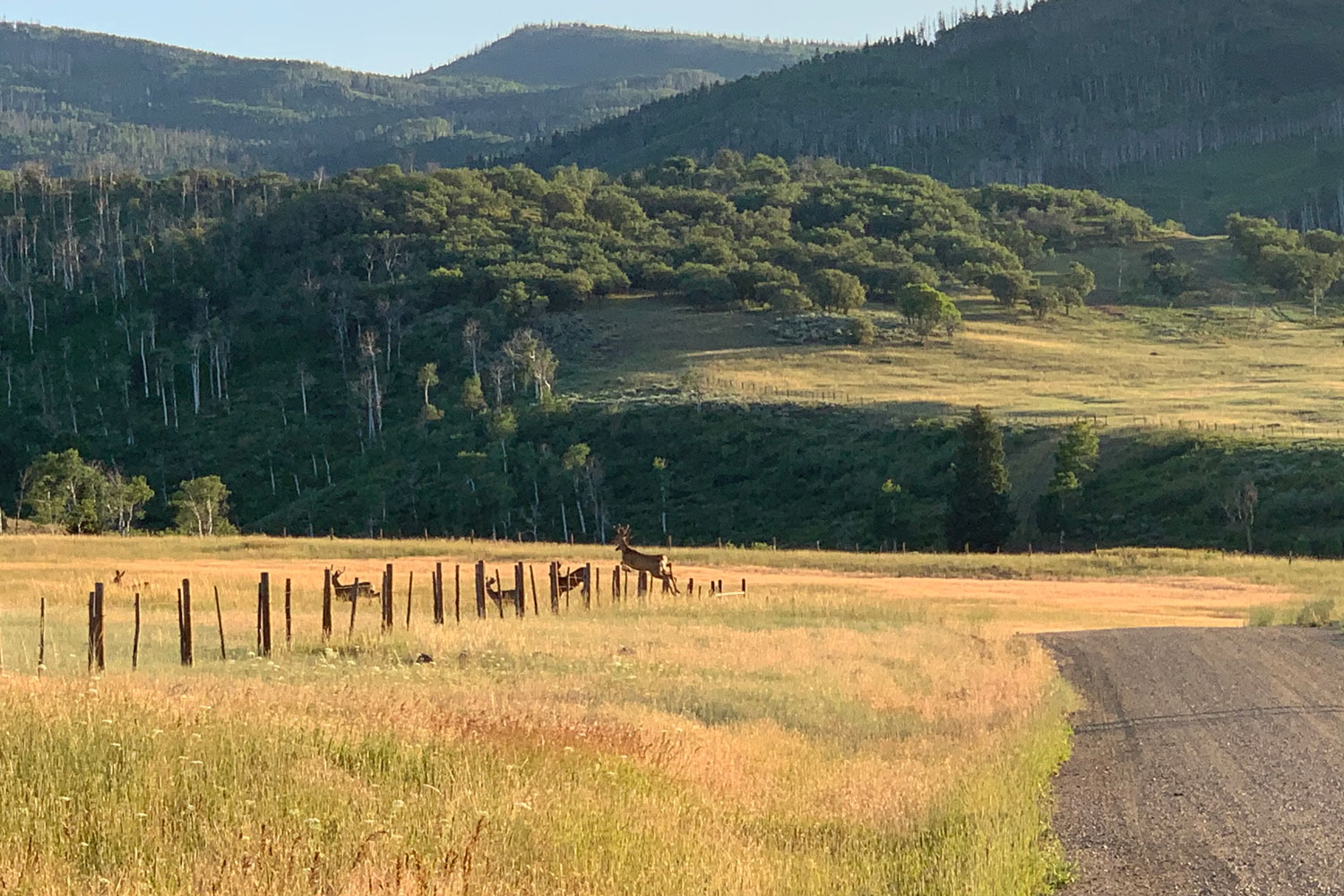 Second Phase of Alpine Zephyr Ranch Conserved - Colorado Cattlemen's ...
