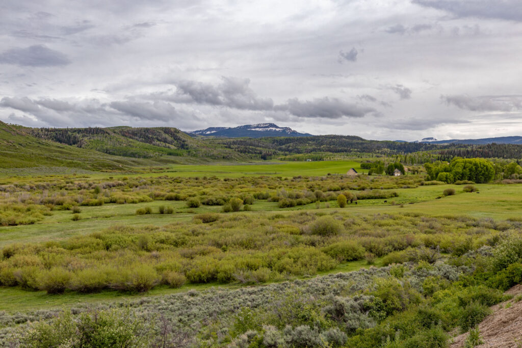 Meadow landscape on the Knott Land and Livestock Ranch.