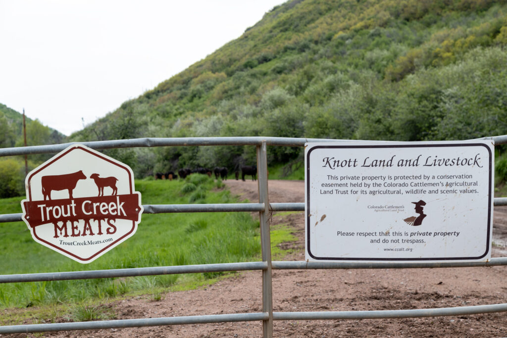 Fence, cattle and signs on the Knott Ranch