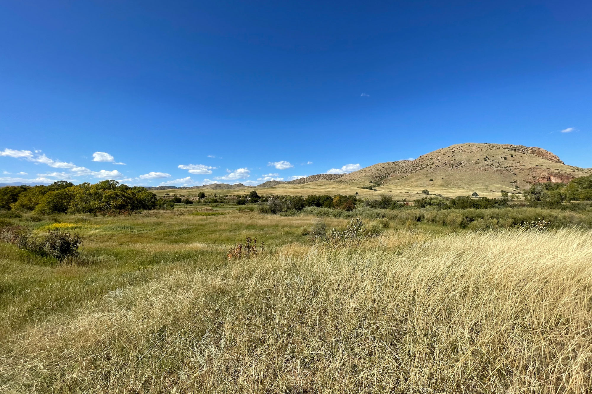 Carpenter Front Range Ranch Conserved Colorado Cattlemen's