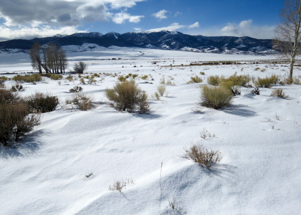 snow covered meadow field