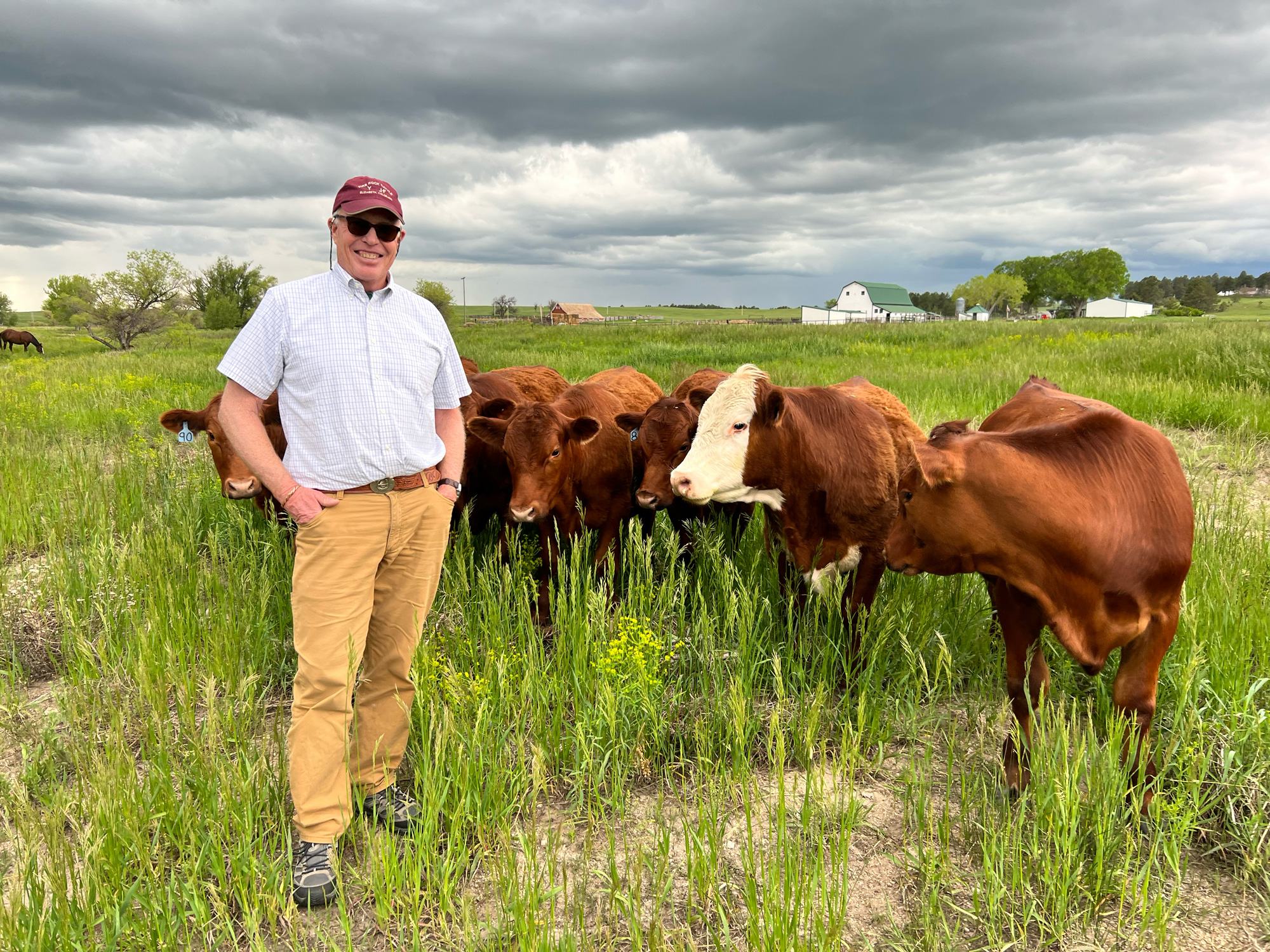 Ben Duke and red angus cows in a field