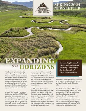 Newsletter cover of a winding stream in a field