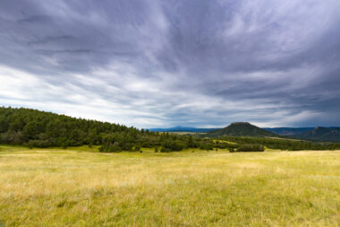 The Colorado Cattlemen’s Agricultural Land Trust Joins National Call for Congress to Enact 2024 Farm Bill