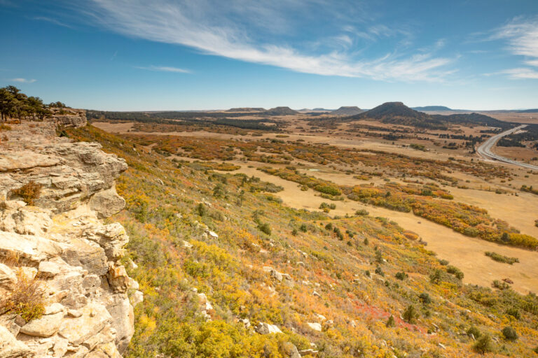 NOVEMBER 6: Land Trusts as Leaders in Agricultural and Community Resilience