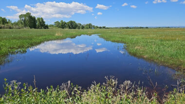 Cultural heritage and critical wetlands conserved on Rockin’ S Ranch in San Luis Valley